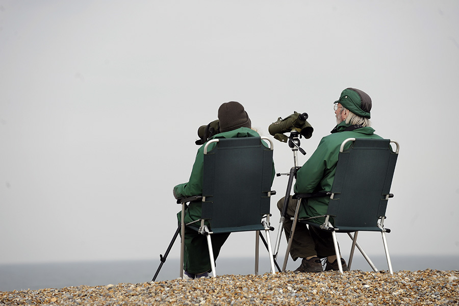 Birdwatching at Weybourne